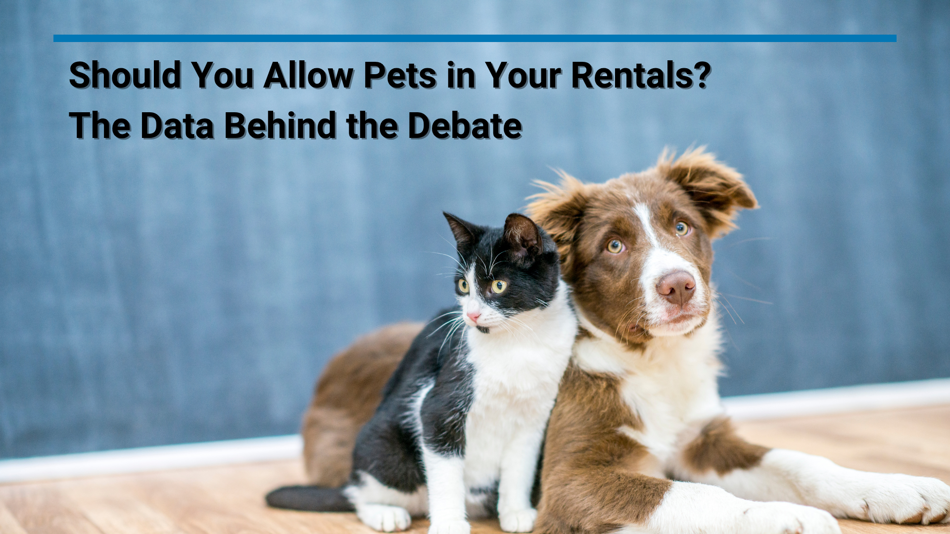 Should You Allow Pets in Your Rentals? The Data Behind the Debate